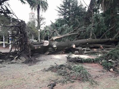 El temporal también afectó a las ciudades del interior de la provincia de Buenos Aires