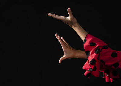La Plata: “Las Morenas Flamencas” presentan su show en el teatro Doble T
