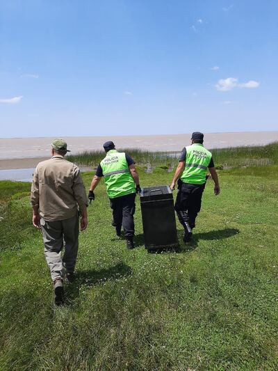 Un lobo Marino perdido en las costas Berisso fue liberado por la Policía Ecológica en Magdalena