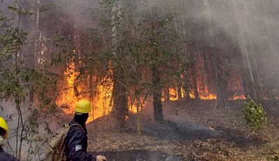 Lograron extinguir el incendio de Parque Pereyra