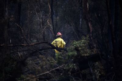 Ambiente añade recursos al combate de incendios junto con Defensa, Interior y Seguridad