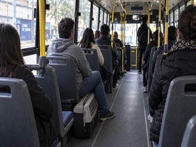 Lomas de Zamora: Los animales podrán viajar en colectivo para su atención veterinaria