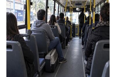 Lomas de Zamora: Los animales podrán viajar en colectivo para su atención veterinaria
