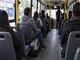 Lomas de Zamora: Los animales podrán viajar en colectivo para su atención veterinaria