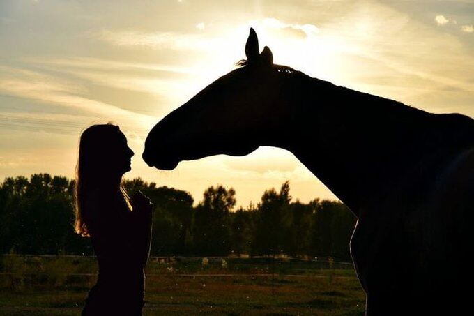 La ONG Caballos en Libertad realizará un concierto a beneficio para recaudar fondos