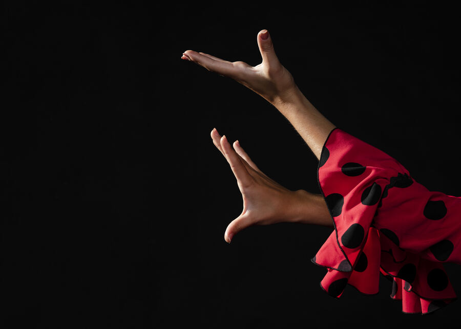 La Plata: “Las Morenas Flamencas” presentan su show en el teatro Doble T