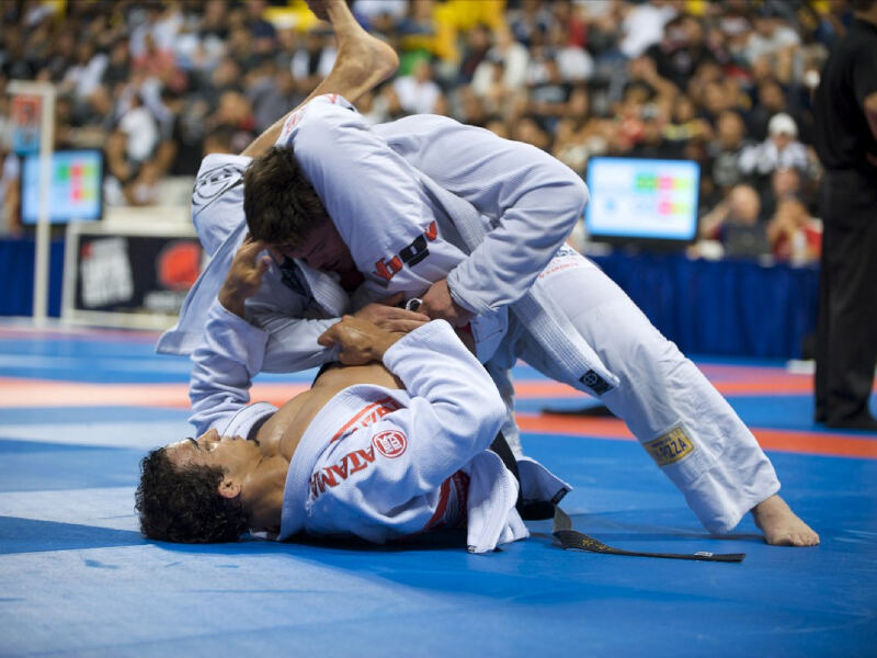 Legisladores provinciales de LLA reclamaron acceso a la información pública en IOMA